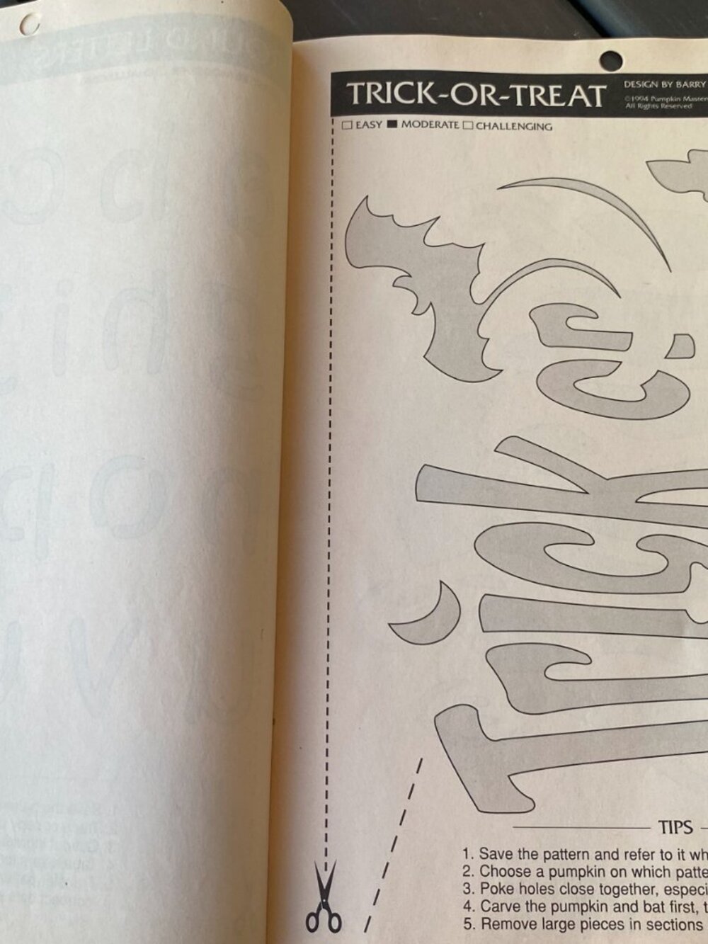 Pumpkin Masters-Lettering/Custom Craving Patterns book! - Picture 4 of 8